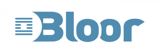 Bloor in detail report DATPROF on Test Data Management