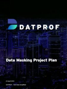 Data Masking Project Plan