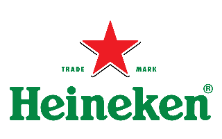 heineken datprof case study