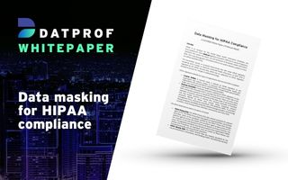 Whitepaper: Data masking for HIPAA compliance
