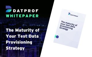 Whitepaper: The Maturity of Your Test Data Provisioning Strategy